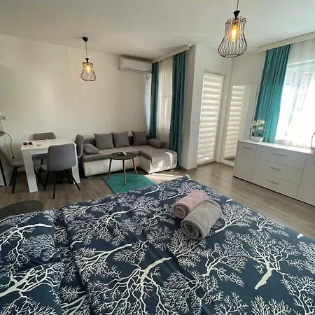 14 * Banja Koviljača