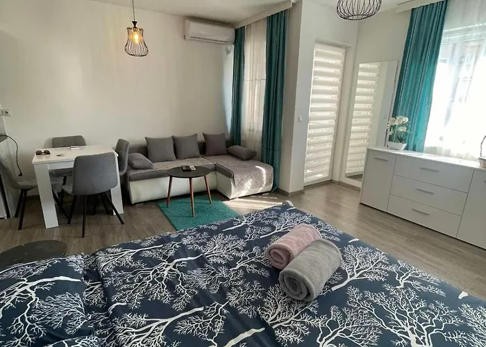 14 * Banja Koviljača